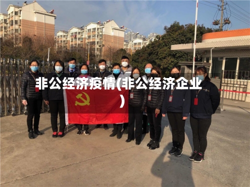 非公经济疫情(非公经济企业)-第3张图片