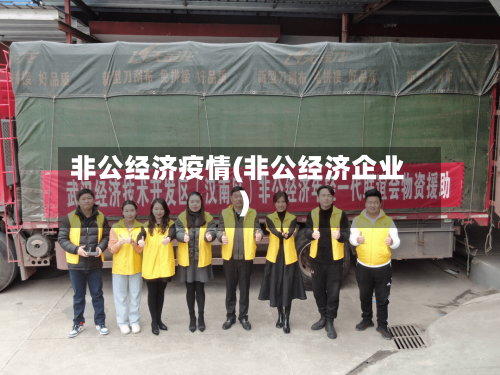 非公经济疫情(非公经济企业)