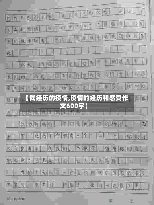 【我经历的疫情,疫情的经历和感受作文600字】