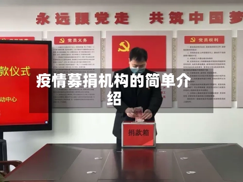 疫情募捐机构的简单介绍-第3张图片