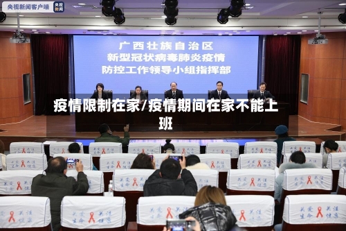 疫情限制在家/疫情期间在家不能上班