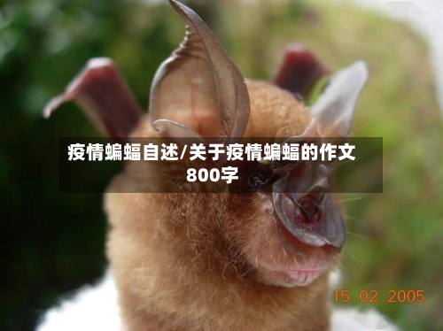疫情蝙蝠自述/关于疫情蝙蝠的作文800字-第1张图片