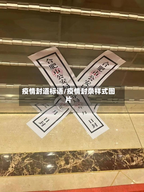 疫情封道标语/疫情封条样式图片-第2张图片