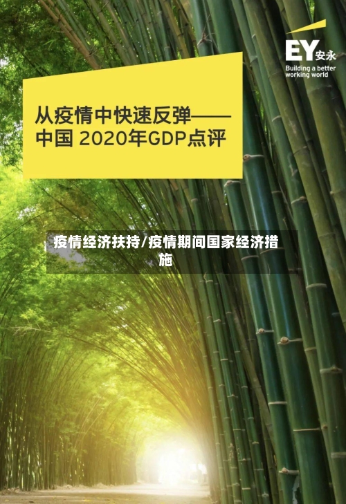 疫情经济扶持/疫情期间国家经济措施