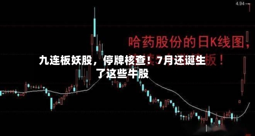 九连板妖股，停牌核查！7月还诞生了这些牛股-第2张图片