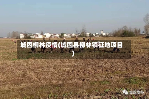 城固柳林疫情(城固县柳林镇征地项目)