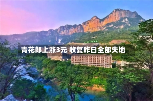 青花郎上涨3元 收复昨日全部失地-第3张图片