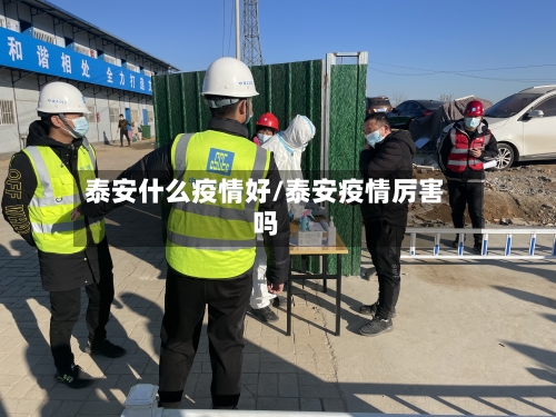 泰安什么疫情好/泰安疫情厉害吗-第3张图片