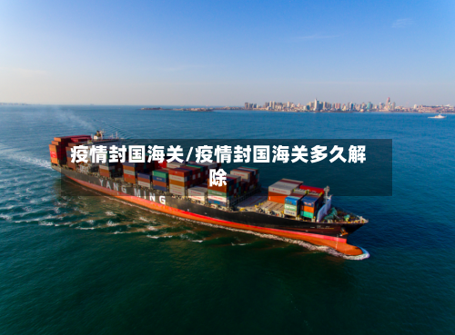 疫情封国海关/疫情封国海关多久解除-第2张图片