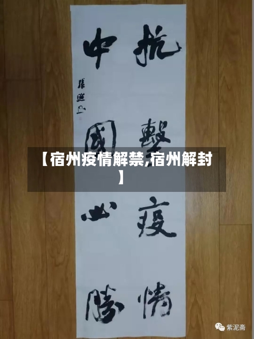 【宿州疫情解禁,宿州解封】-第2张图片