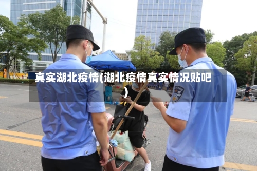 真实湖北疫情(湖北疫情真实情况贴吧)-第2张图片