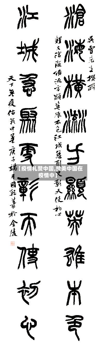 【疫情礼赞中国,赞美中国在疫情中】-第3张图片