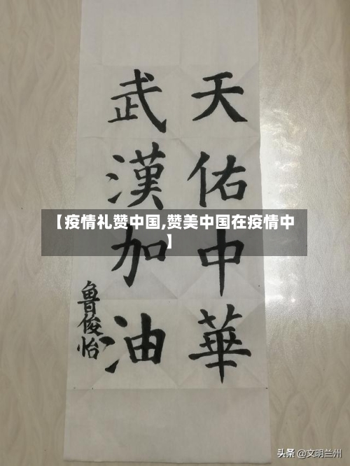 【疫情礼赞中国,赞美中国在疫情中】
