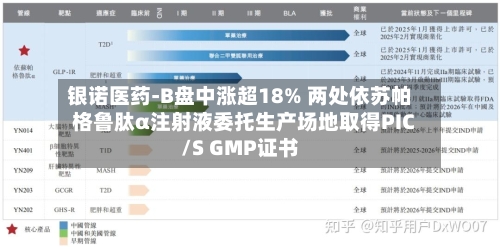 银诺医药-B盘中涨超18% 两处依苏帕格鲁肽α注射液委托生产场地取得PIC/S GMP证书