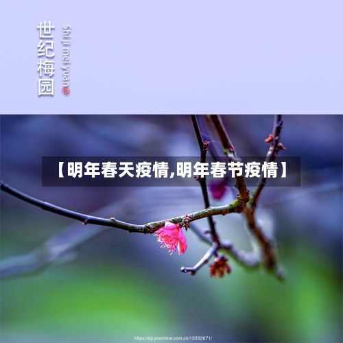 【明年春天疫情,明年春节疫情】-第2张图片