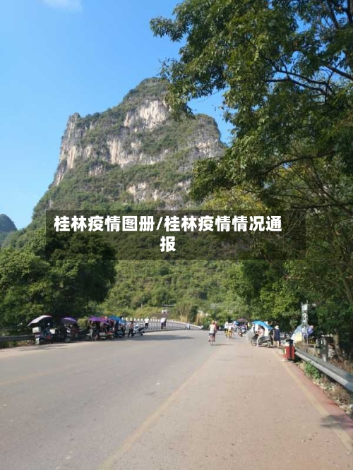 桂林疫情图册/桂林疫情情况通报