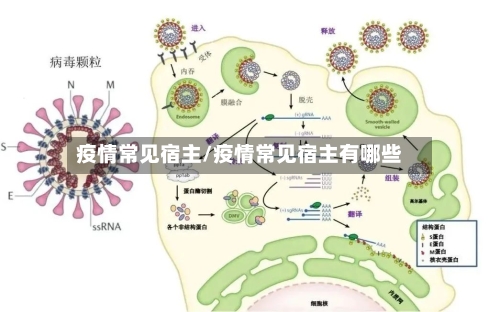 疫情常见宿主/疫情常见宿主有哪些-第2张图片