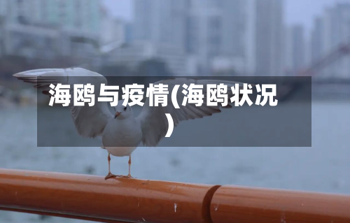 海鸥与疫情(海鸥状况)-第3张图片