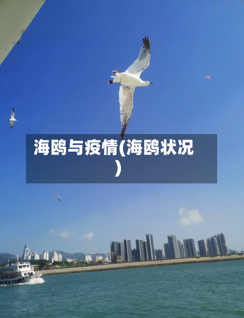 海鸥与疫情(海鸥状况)-第2张图片