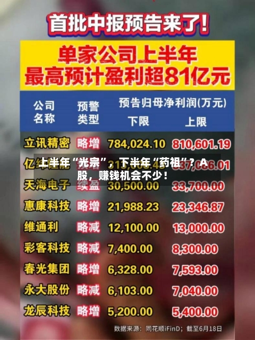 上半年“光宗”，下半年“药祖”？A股，赚钱机会不少！