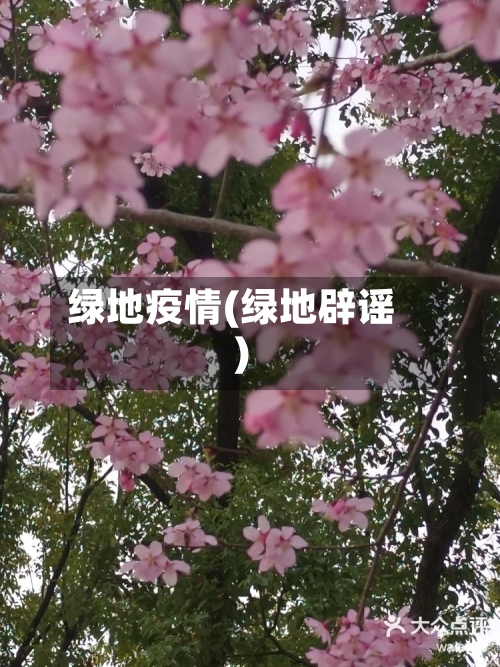 绿地疫情(绿地辟谣)-第2张图片