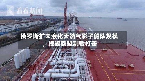 俄罗斯扩大液化天然气影子船队规模，规避欧盟制裁打击
