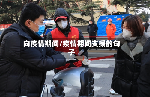 向疫情期间/疫情期间支援的句子