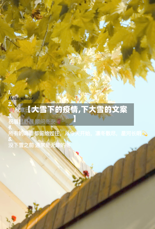 【大雪下的疫情,下大雪的文案】