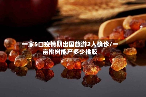 一家5口疫情期出国旅游2人确诊/一亩桃树能产多少桃胶