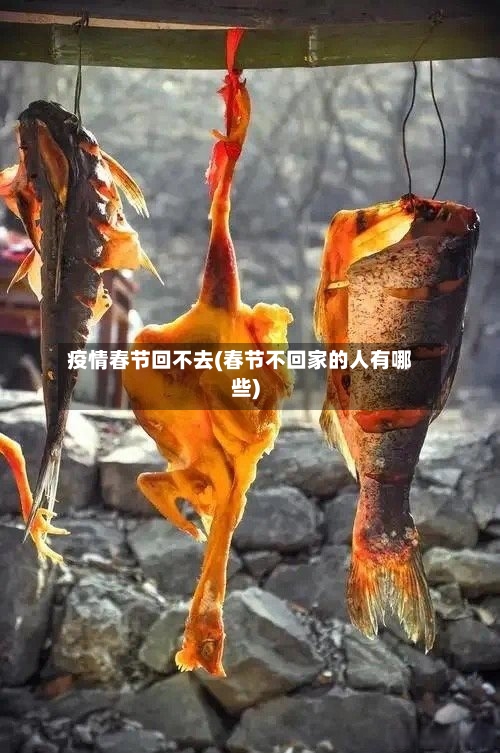 疫情春节回不去(春节不回家的人有哪些)-第2张图片