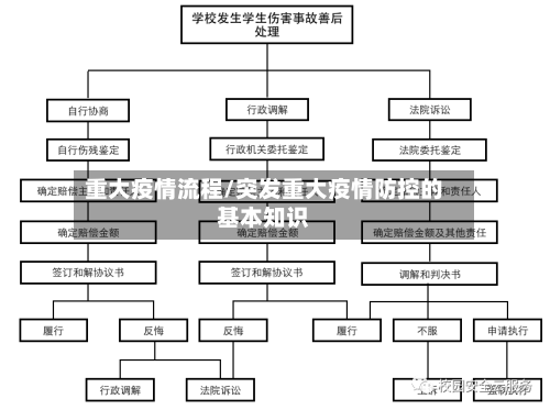 重大疫情流程/突发重大疫情防控的基本知识-第3张图片