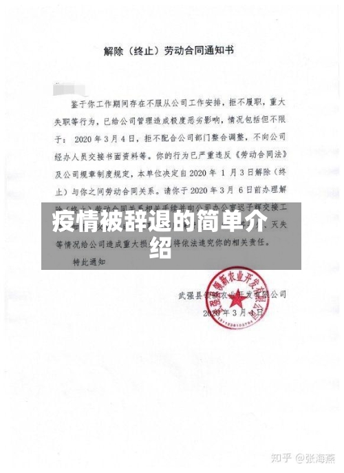 疫情被辞退的简单介绍