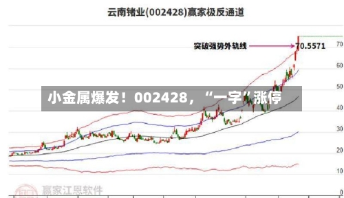小金属爆发！002428，“一字”涨停-第2张图片