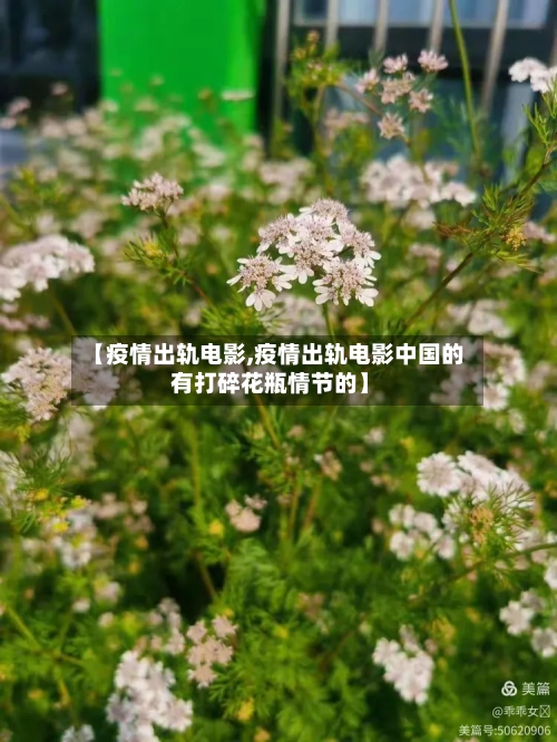 【疫情出轨电影,疫情出轨电影中国的 有打碎花瓶情节的】