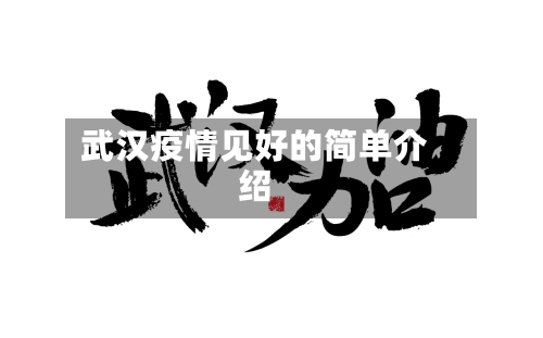武汉疫情见好的简单介绍