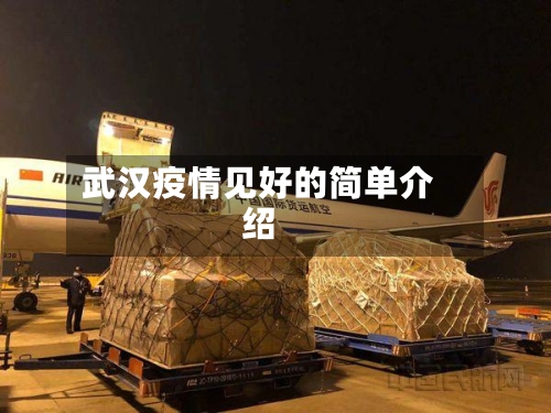 武汉疫情见好的简单介绍-第2张图片