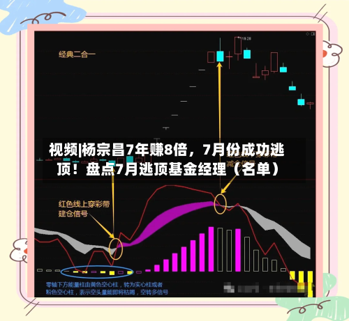 视频|杨宗昌7年赚8倍，7月份成功逃顶！盘点7月逃顶基金经理（名单）-第2张图片