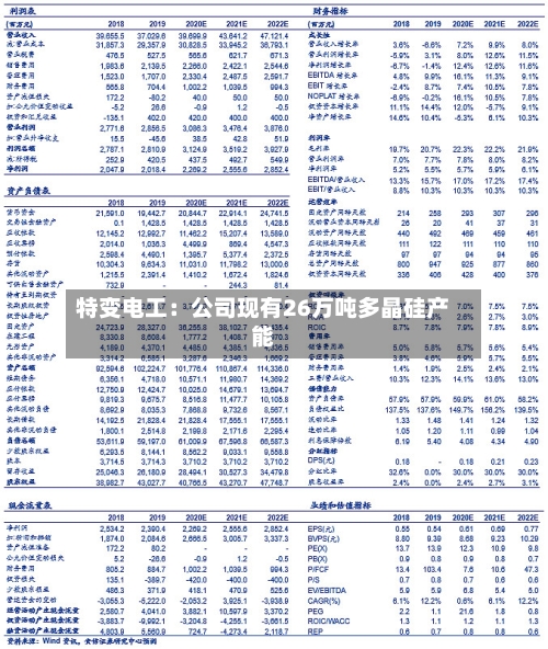特变电工：公司现有26万吨多晶硅产能