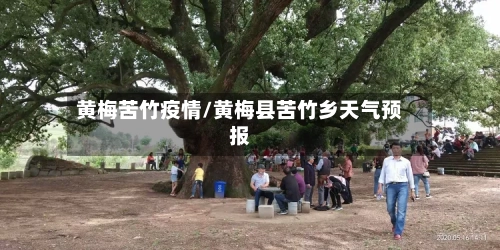 黄梅苦竹疫情/黄梅县苦竹乡天气预报-第2张图片