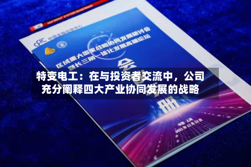 特变电工：在与投资者交流中，公司充分阐释四大产业协同发展的战略