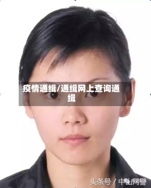 疫情通缉/通缉网上查询通缉