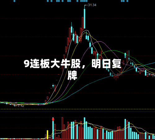 9连板大牛股，明日复牌-第2张图片