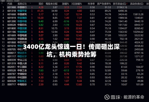 3400亿龙头惊魂一日！传闻砸出深坑	，机构乘势抢筹-第2张图片