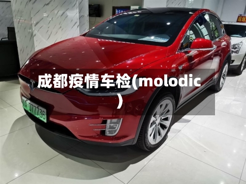 成都疫情车检(molodic)