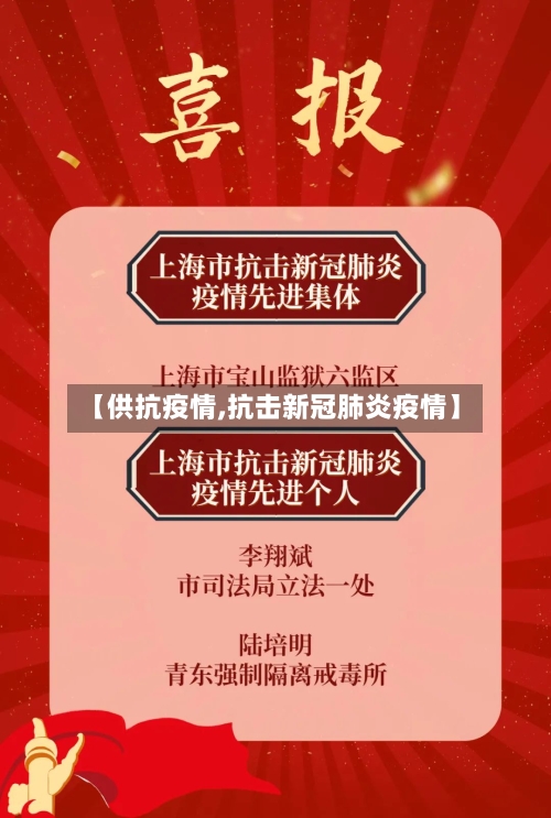 【供抗疫情,抗击新冠肺炎疫情】