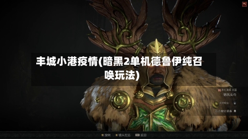 丰城小港疫情(暗黑2单机德鲁伊纯召唤玩法)-第3张图片