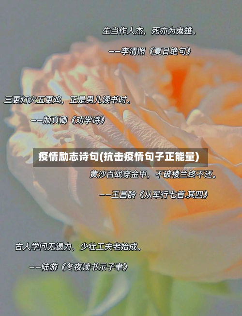 疫情励志诗句(抗击疫情句子正能量)-第3张图片
