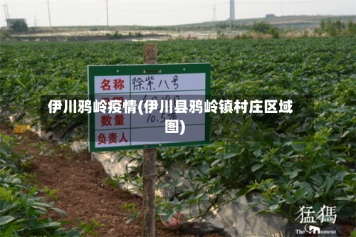伊川鸦岭疫情(伊川县鸦岭镇村庄区域图)-第3张图片