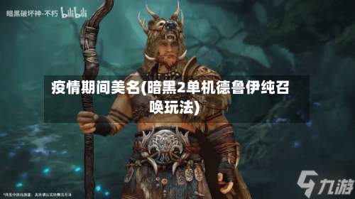 疫情期间美名(暗黑2单机德鲁伊纯召唤玩法)-第3张图片