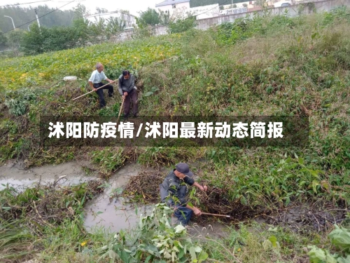 沭阳防疫情/沭阳最新动态简报-第2张图片